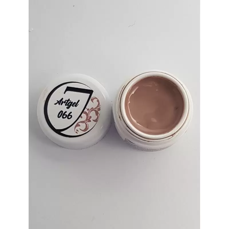 Art Gel (Farb Gel) Nr 066