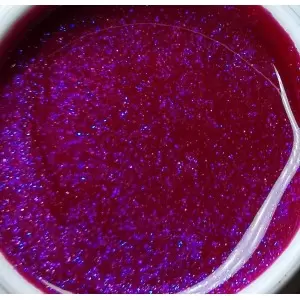 Art Gel (Farb Gel) Nr 79