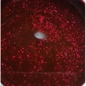 Art Gel Color Gel Nr 88
