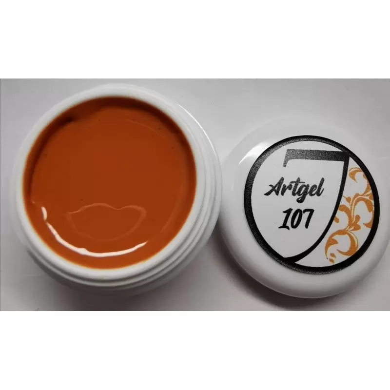 Art Gel (Farb Gel) Nr 107