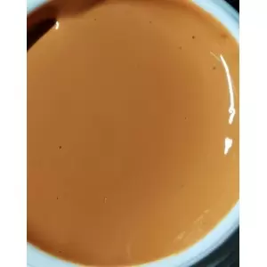 Art Gel Color Gel Nr 107