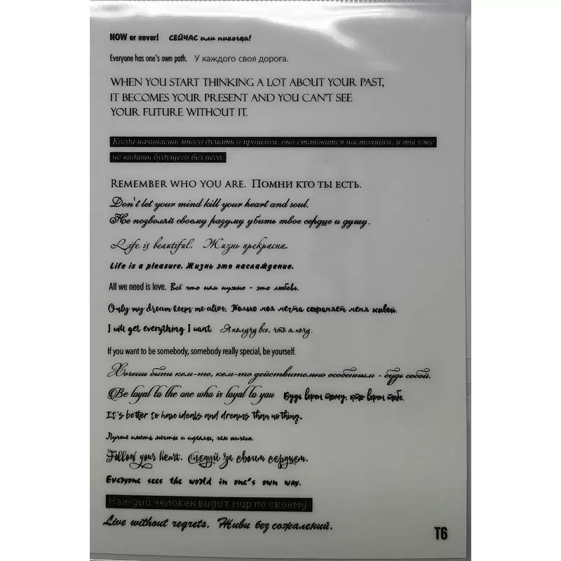 Selbstklebende Sticker SCHRIFT Nr. T6