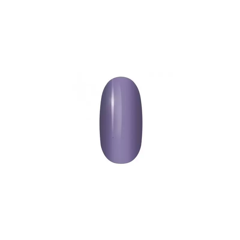 Shellack Nr. 1 from Infinity