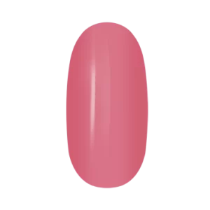 Shellack Nr. 5 from Infinity