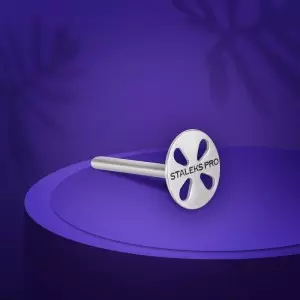 Pediküre-DISK PODODISC STALEKS PRO S und Einwegfeile-Set 180 Körnung 5 Stück (15 mm)